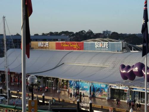 sydney madame tussauds