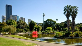 sydney royal botanic gardens